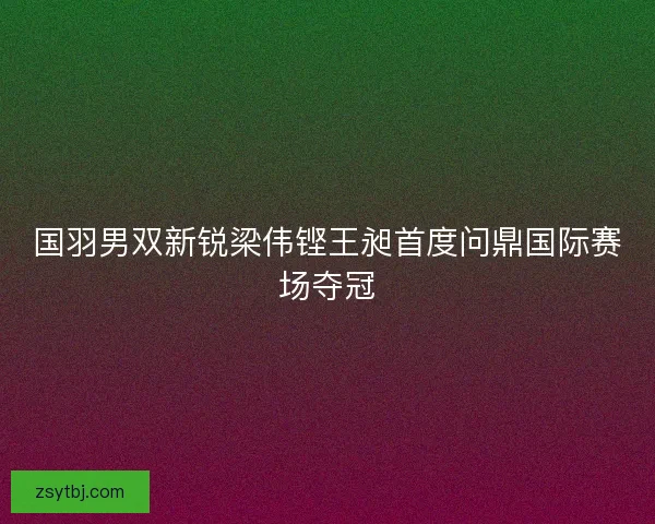 国羽男双新锐梁伟铿王昶首度问鼎国际赛场夺冠